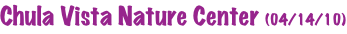 shapeimage_14_link_0