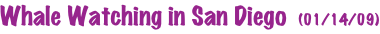shapeimage_9_link_0